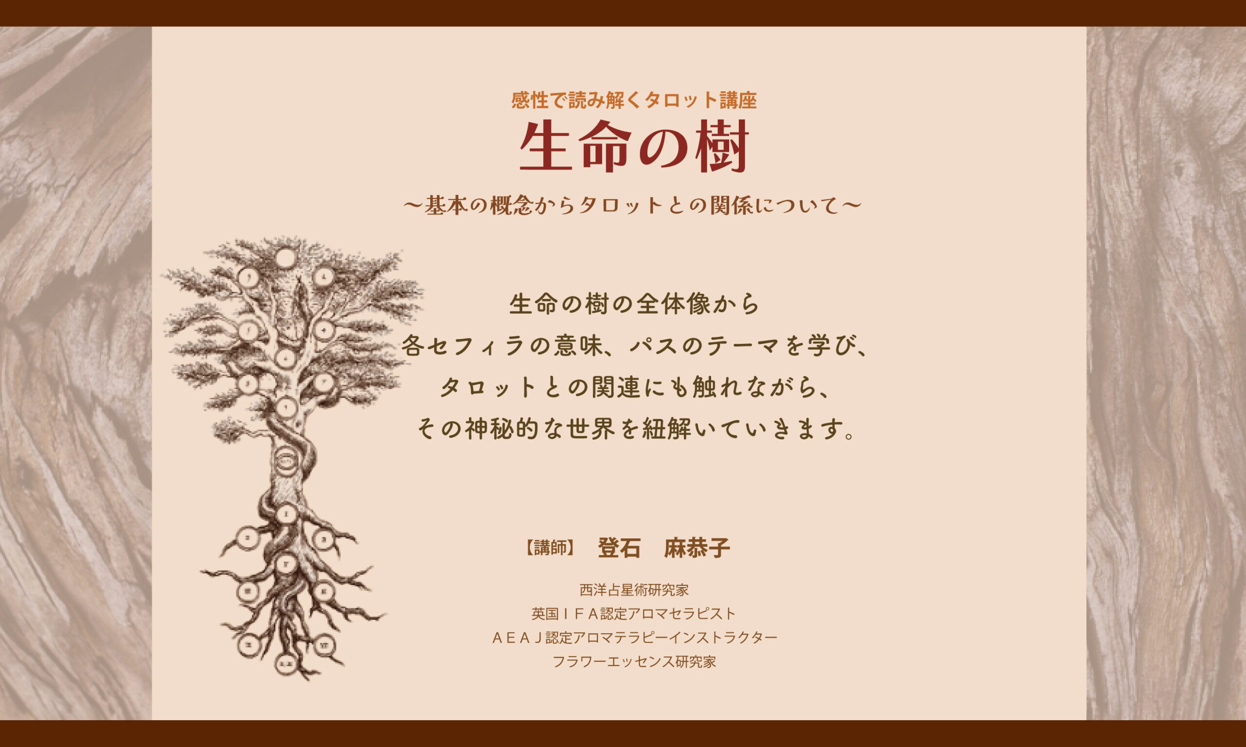 生命の樹～基本の概念からタロットとの関係について～ | 東京タロット 